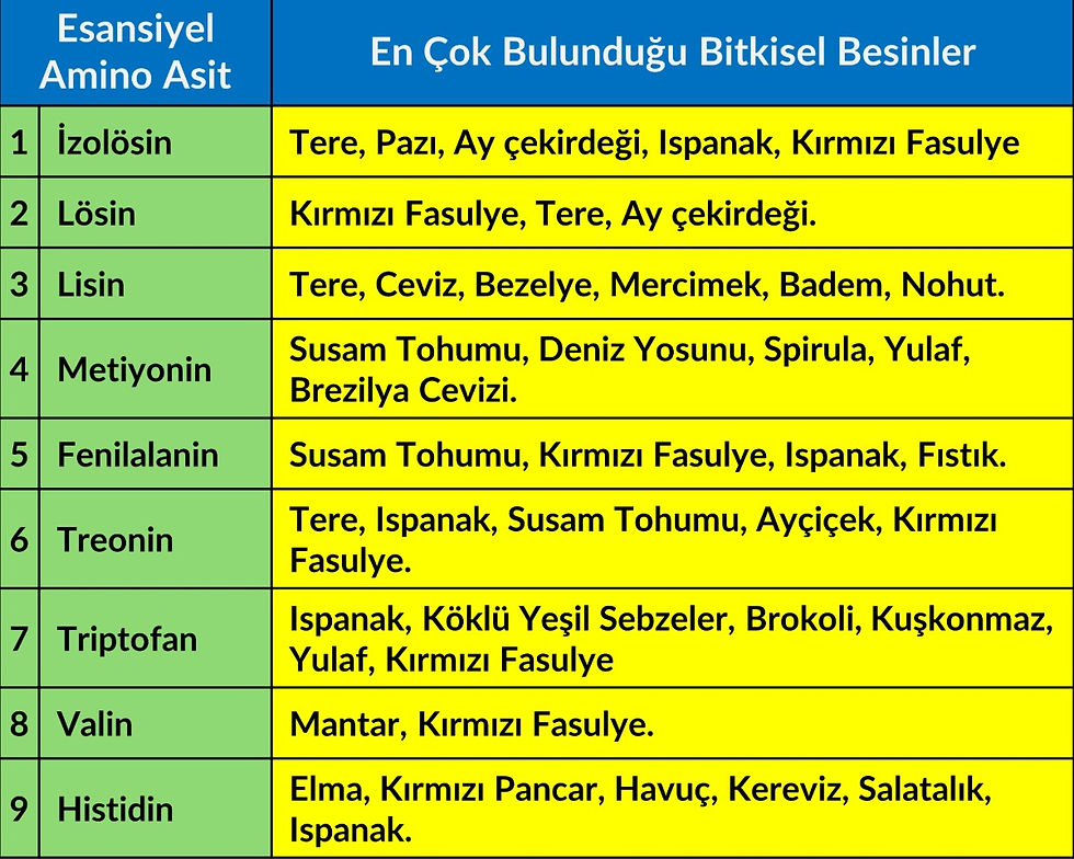 Yüksek Protein İçeren Yiyecekler Tablosu
