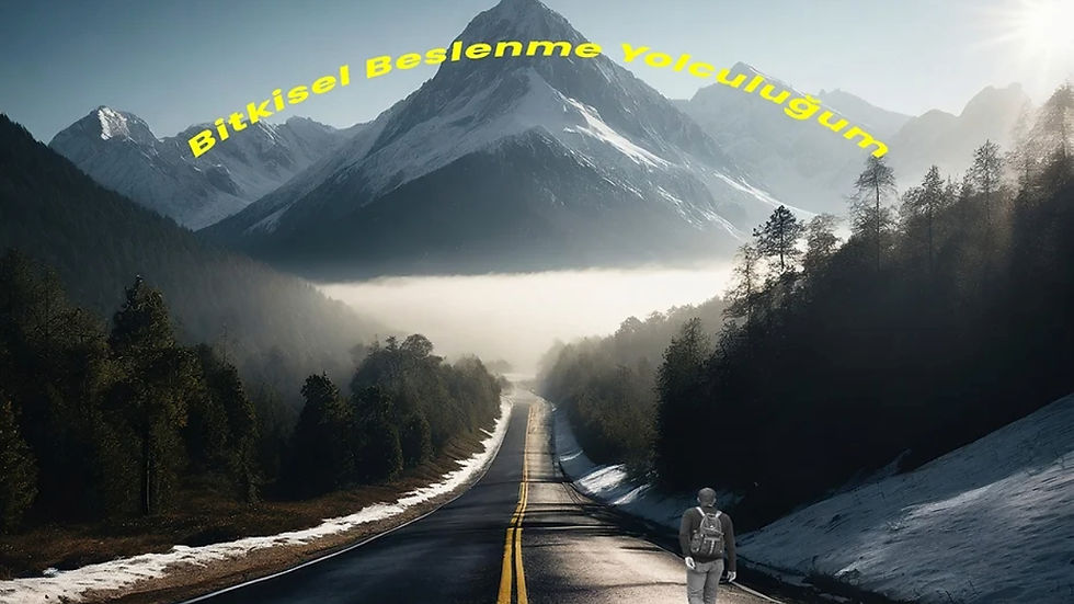 Bitkisel Beslenme Yolculuğum