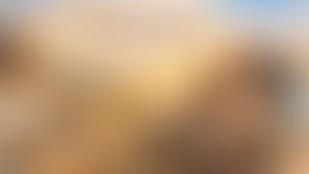 Seneca'dan yaşam ve ölüm üzerine dersler