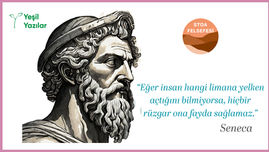 warren bufferr tarzı