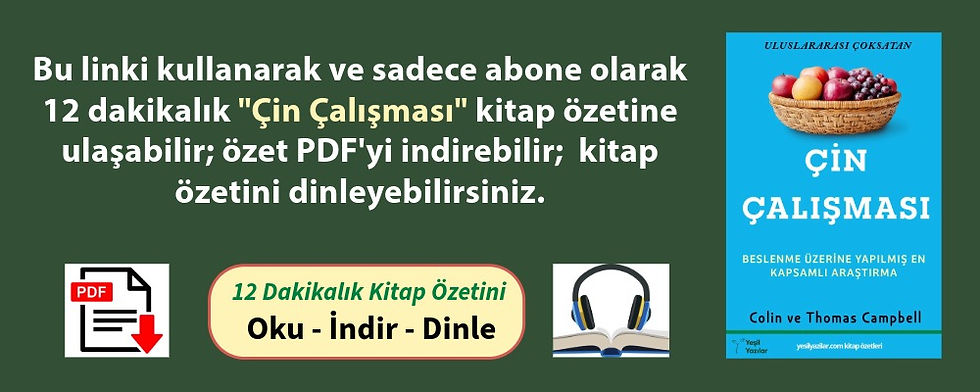 Çin Çalışması Kitap PDF