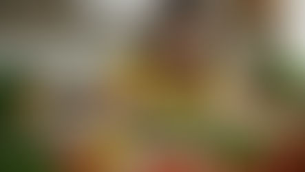 Bitkisel Protein Yiyen Kadın