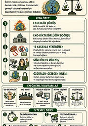 Özeti yapılan kitabın infografikle hazırlanmış görsel özeti