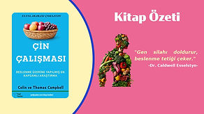 Kitaplar ve Kitap Özetleri