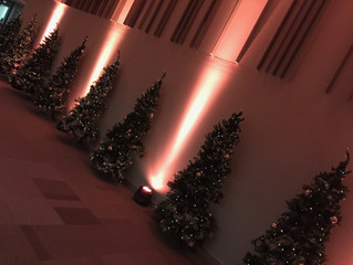 Christmas party season