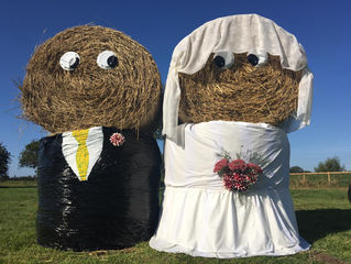 Wedding Venue