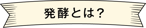 発酵とは?.gif