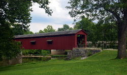 DSC_4323-PSED.jpg