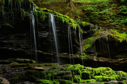 DSC_4136-2.jpg