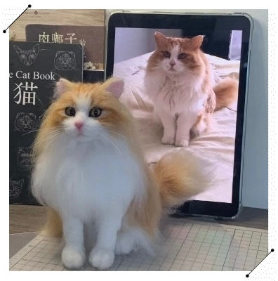 縮圖：Full-Body Custom Pet Figurine | 20cm Personalized Wool Felt Pet