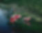 Grant - Spoonbill group.jpeg
