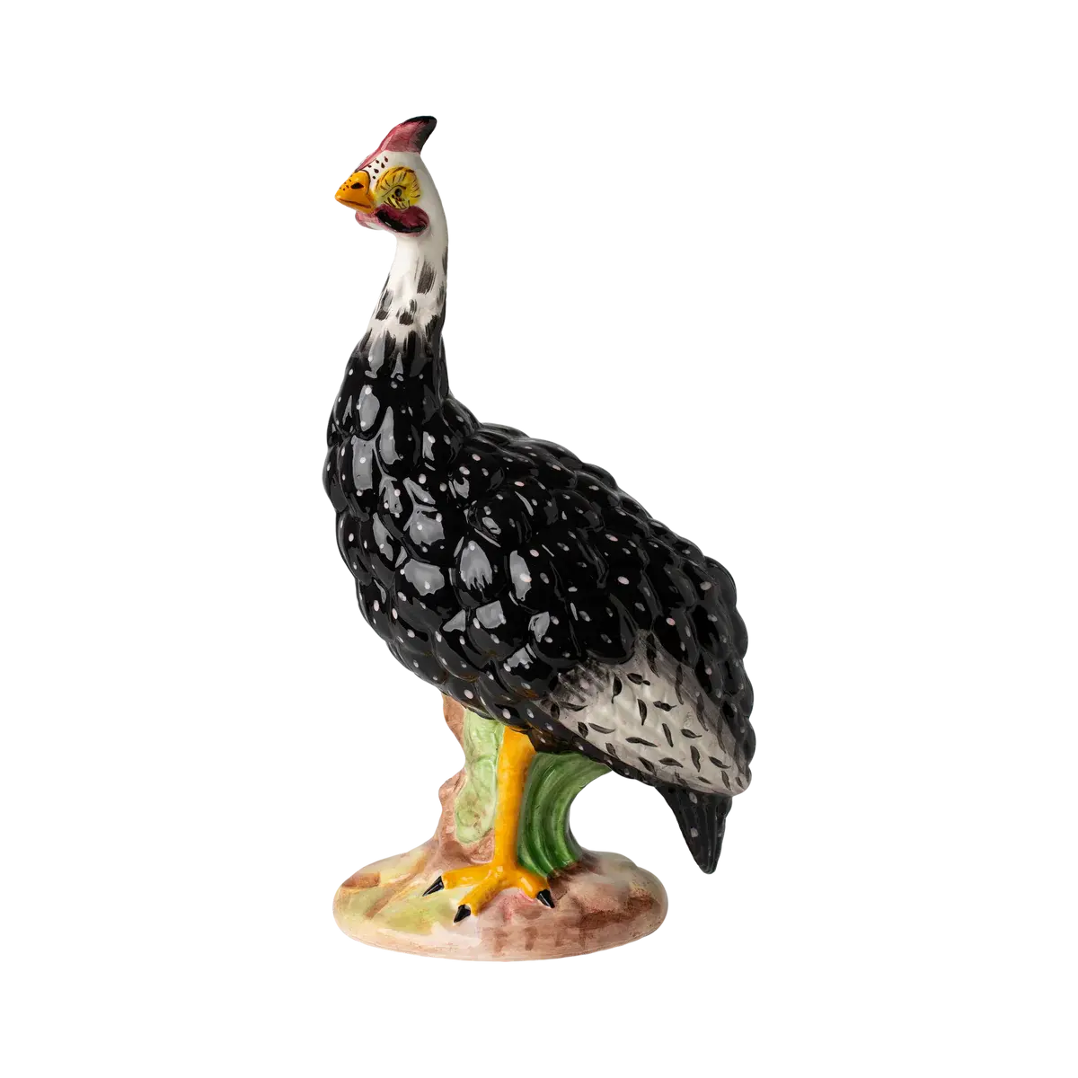 Regal Male Guinea Hen