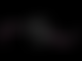 Clementine, punk-rockers from Rockford, IL release “Quinn Cicala” / Oct. 17, 2025