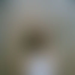 Rare Candy “Love Right Now” Single Review