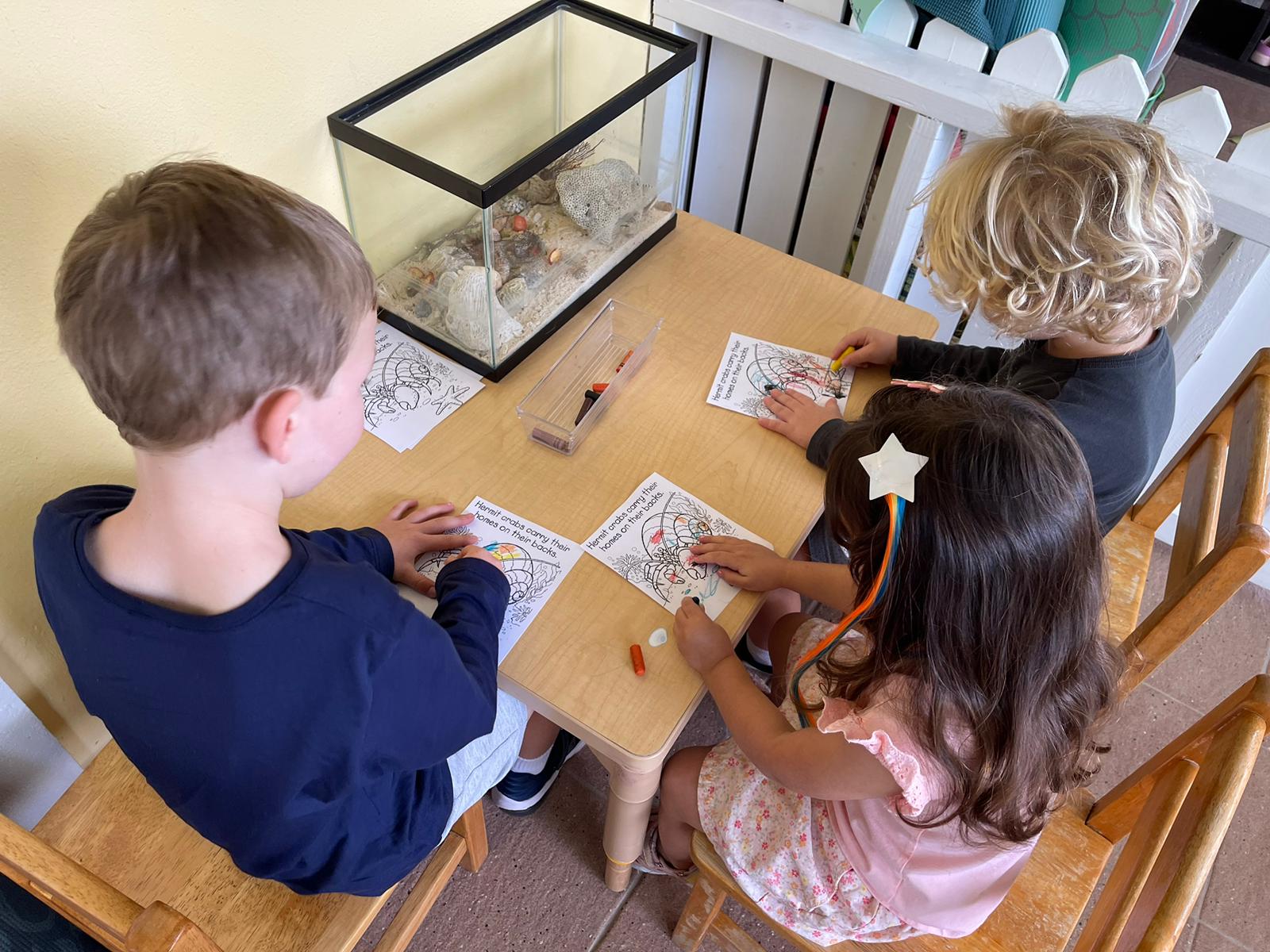 Art activities