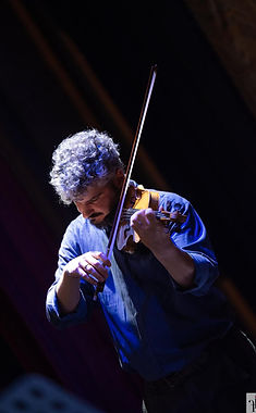 Paolo Andreoli - violin.jpeg