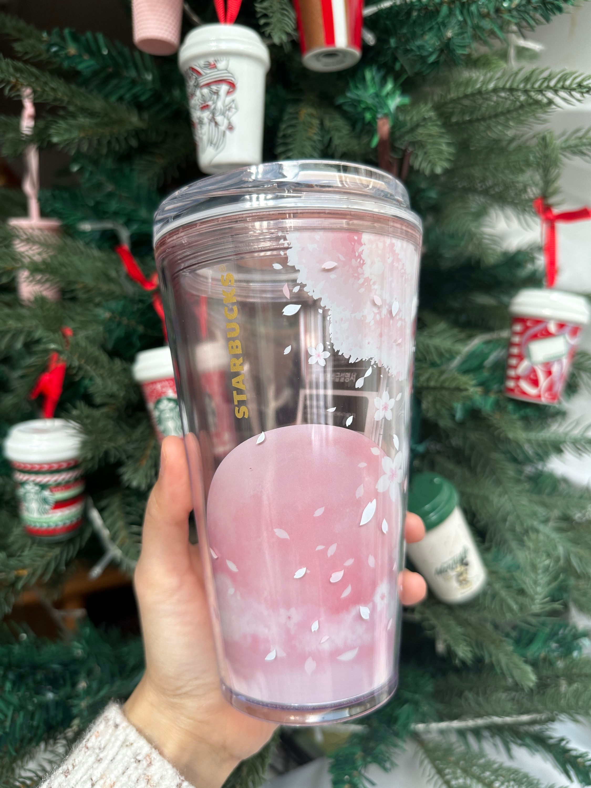 Korea Pink Sakura Cup