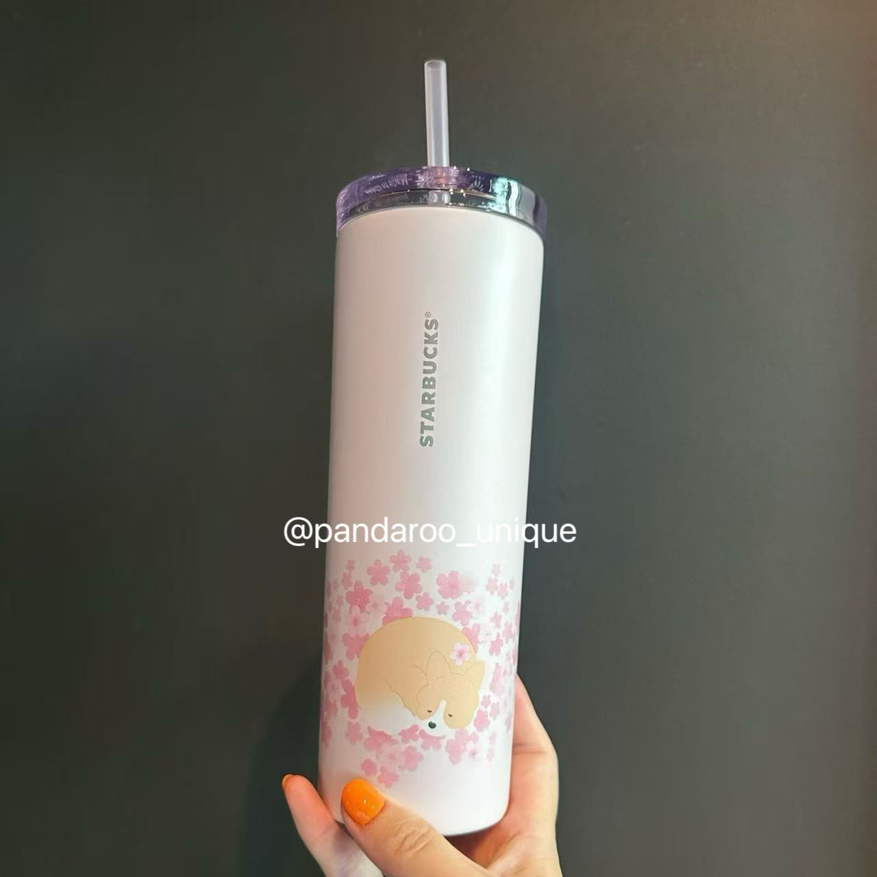 Sakura Dog SS Straw Cup Dreamy Spring Taiwan Sakura 2026
