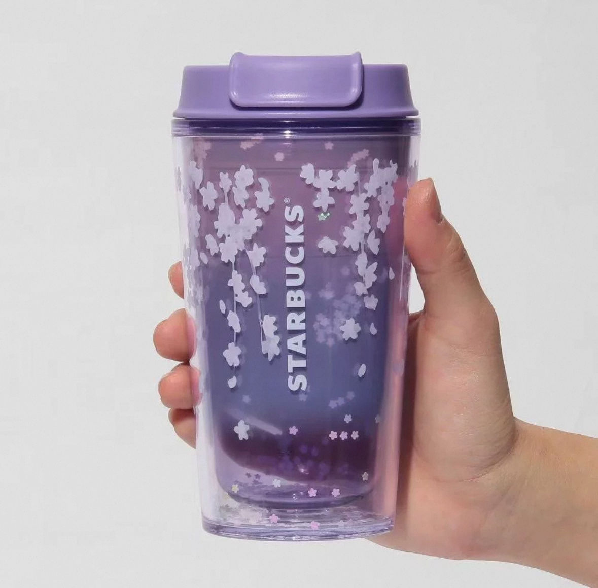 Purple Sakura Cup Japan Sakura 2 2025