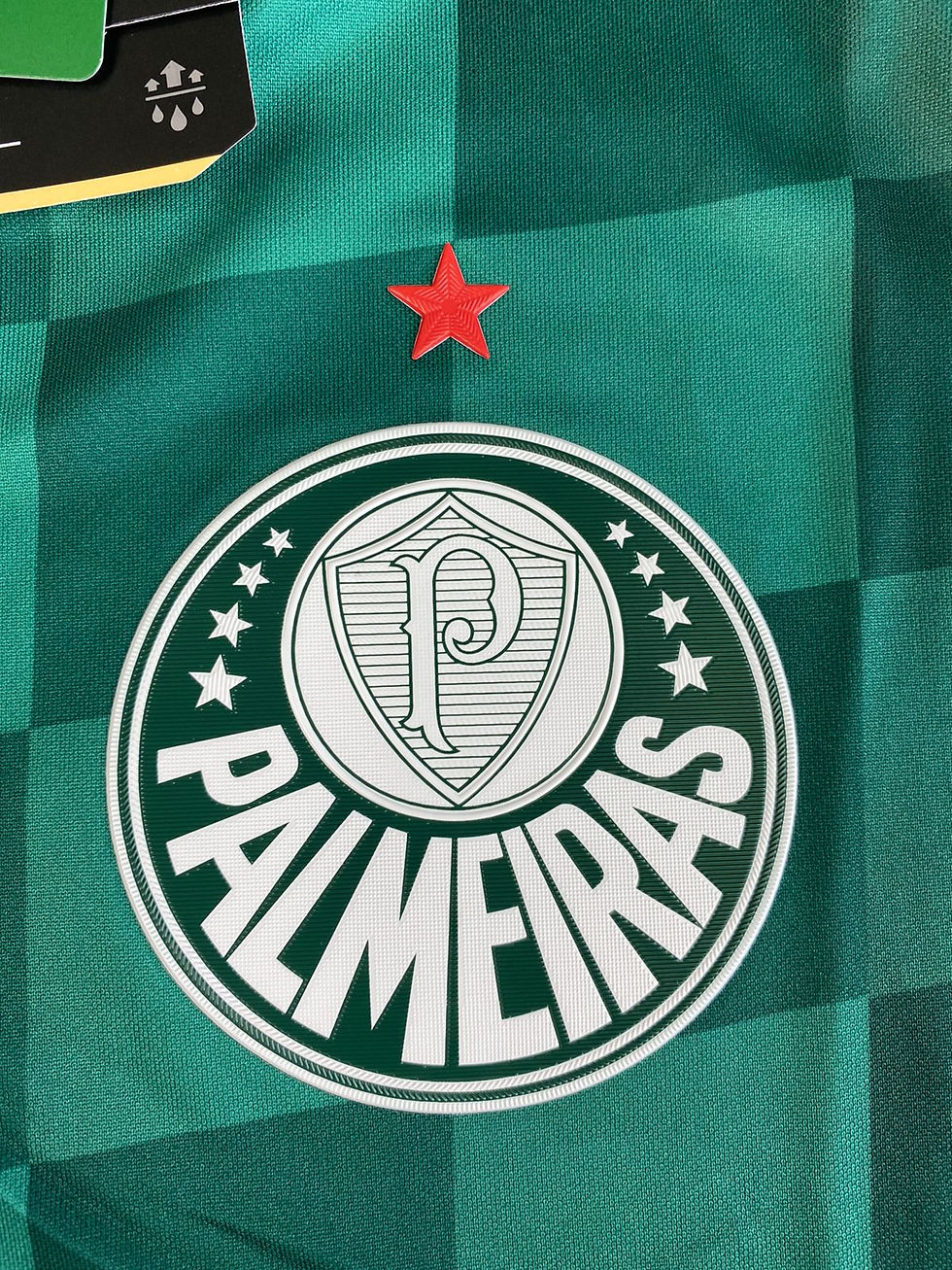 Miniatura: Palmeiras 2021 2022 Home  (Nova)