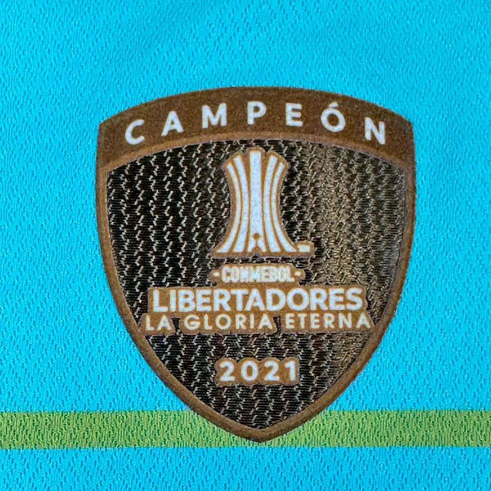 Miniatura: Palmeiras 2022 2023 Third Tam: G (Nota: 9,5)