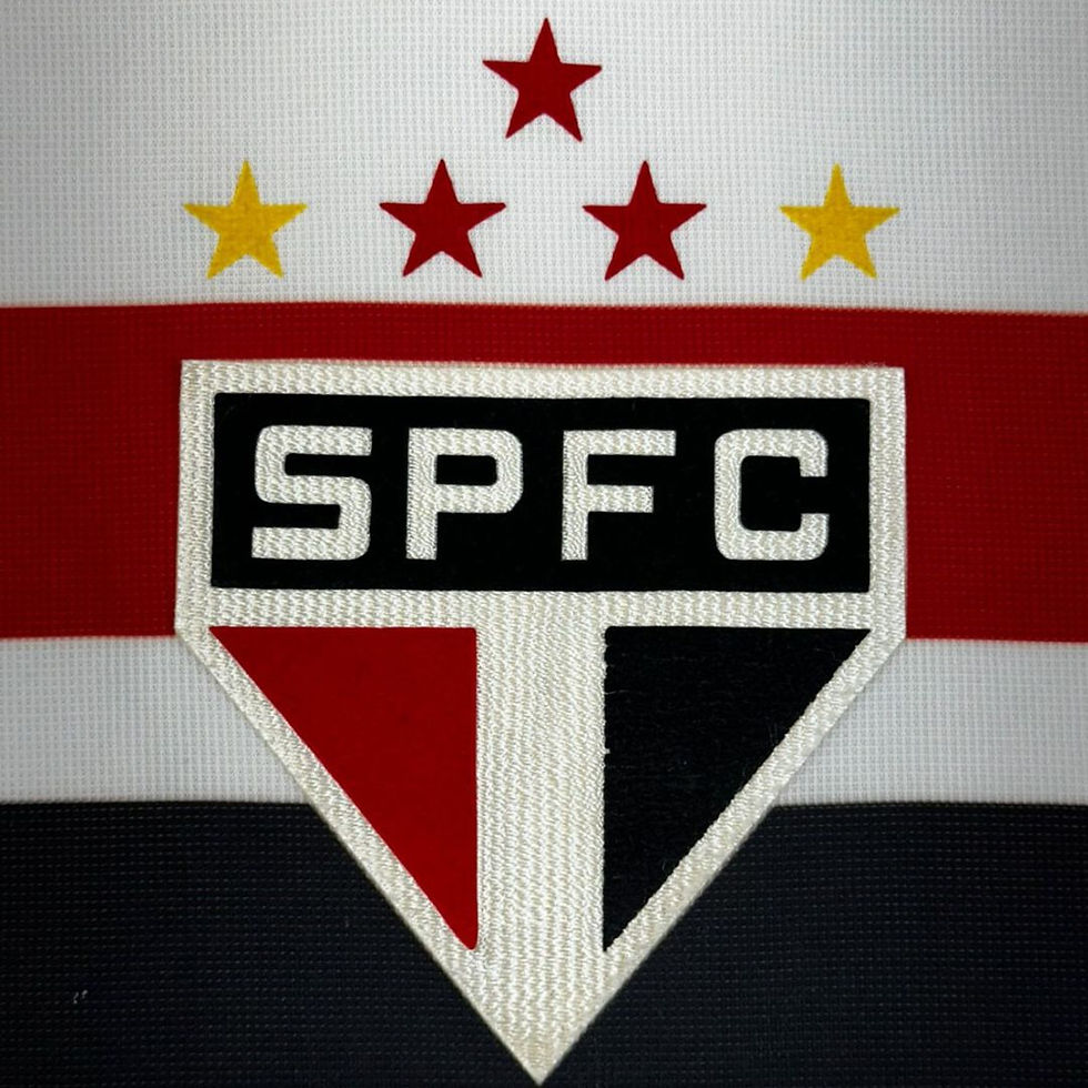 Miniatura: São Paulo 2012 Home #10 Tam: 3GG (Nota: 8,5)