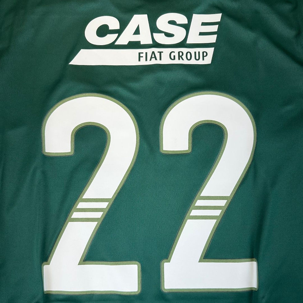 Miniatura: Palmeiras 2010 Home #22 Roberto Tam: G (Nova)