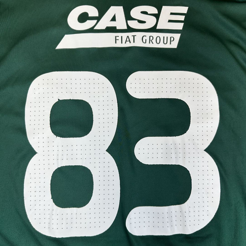 Miniatura: Palmeiras 2008 2009 Home #83 Tam: GG (Nota: 9)