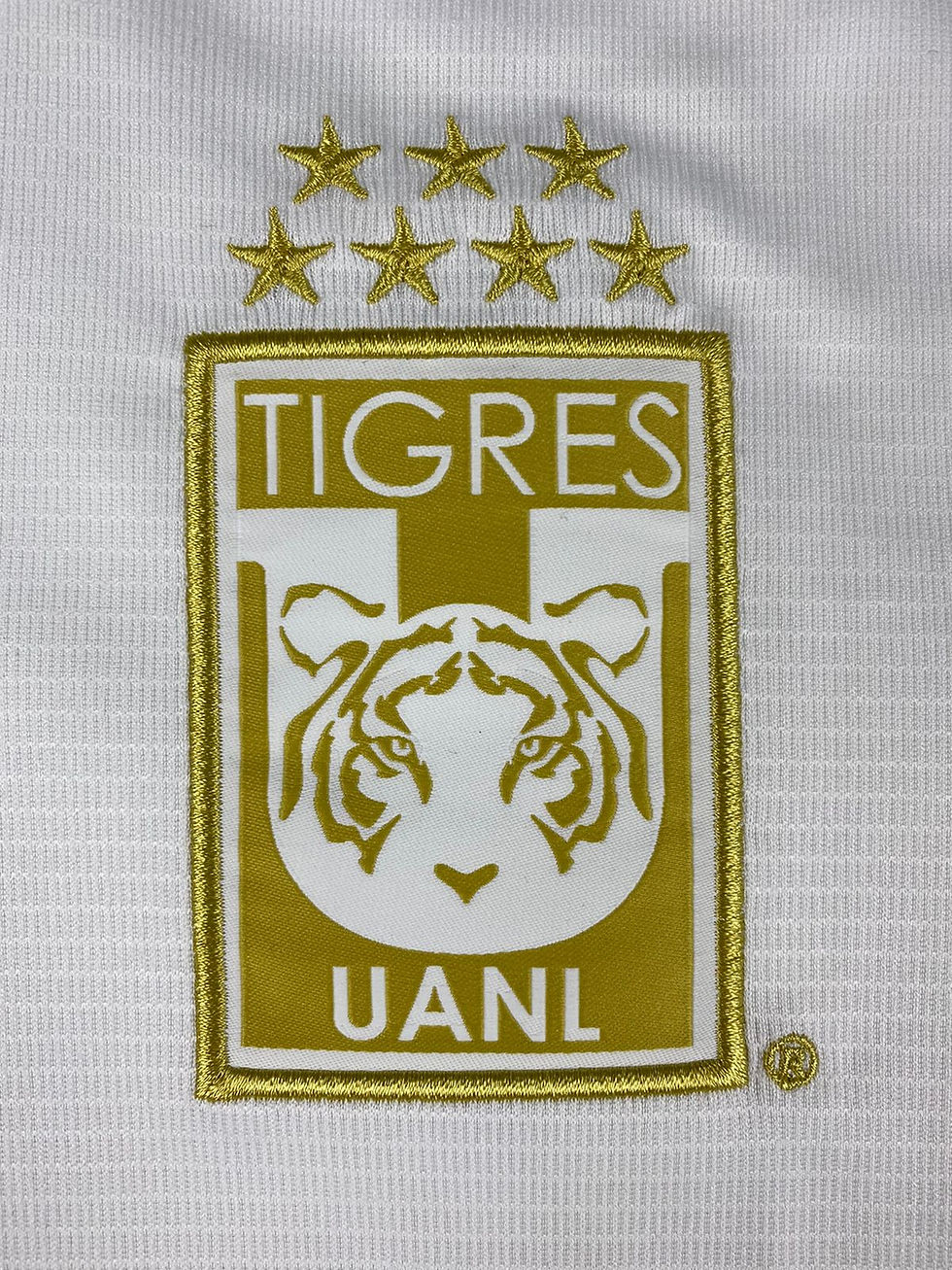 Miniatura: Tigres 2020 2021 Third  (Nova)