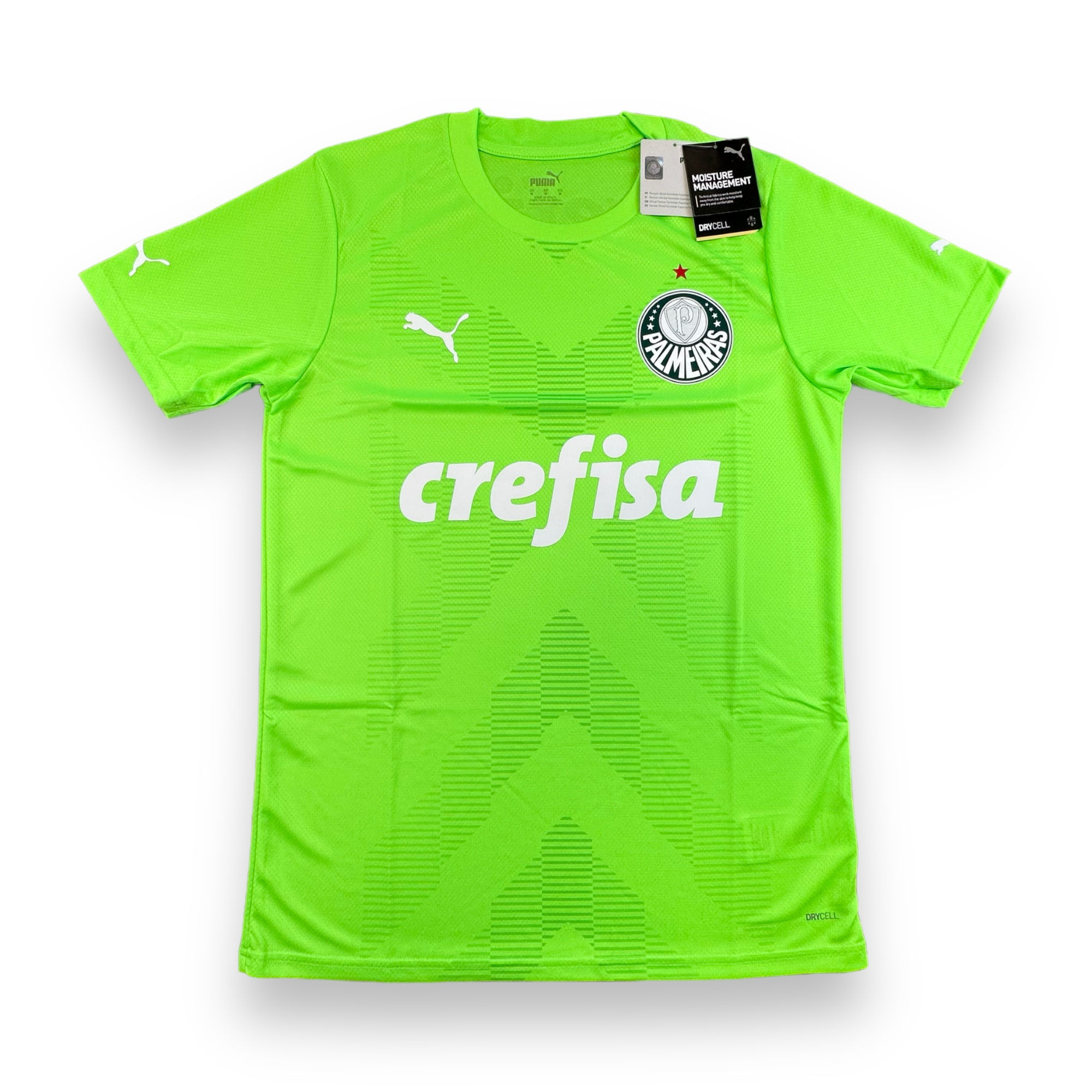 Palmeiras 2023 2024 Goleiro II (Nova)