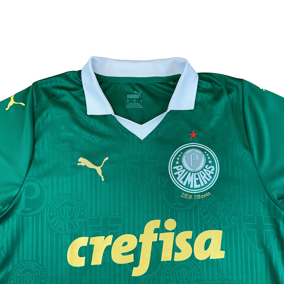 Miniatura: Palmeiras 2024 2025 Home Tam: G (Nota: 10)