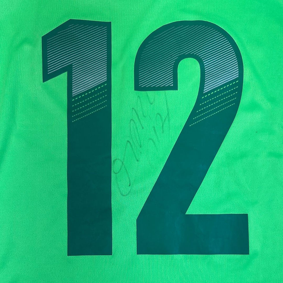Miniatura: Palmeiras 2012 Goleiro #12 Marcos Autografada Tam: P (Nota:9,5)