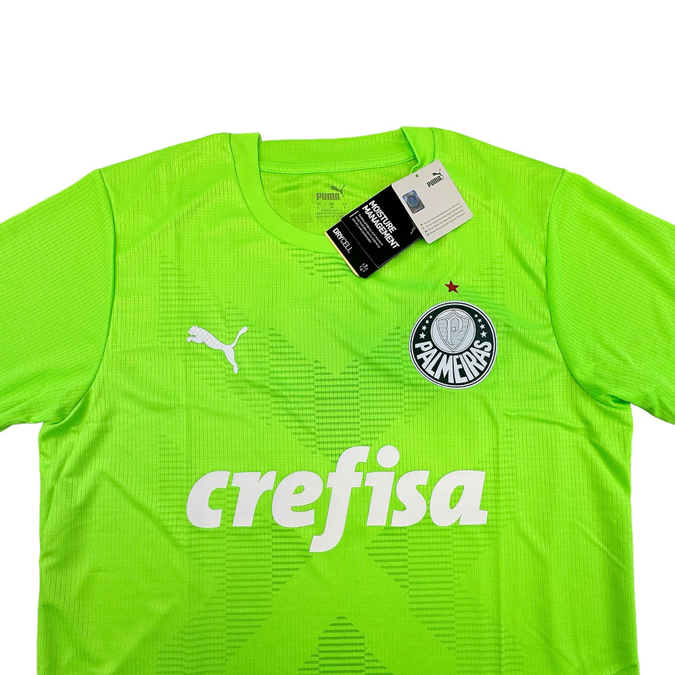 Miniatura: Palmeiras 2023 2024 Goleiro II Jogador (Nova)