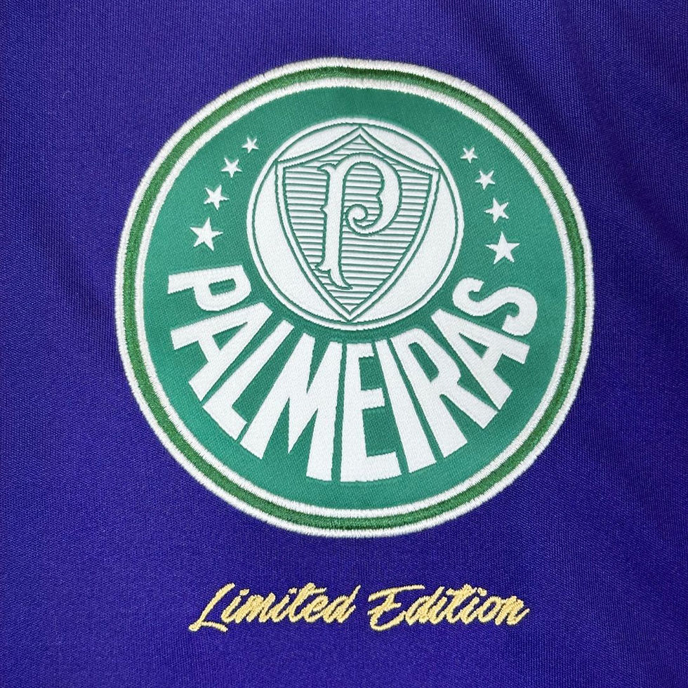 Miniatura: Palmeiras 2016 Obsessão Goleiro Edição Limitada Tam: M (Nota: 9,5)