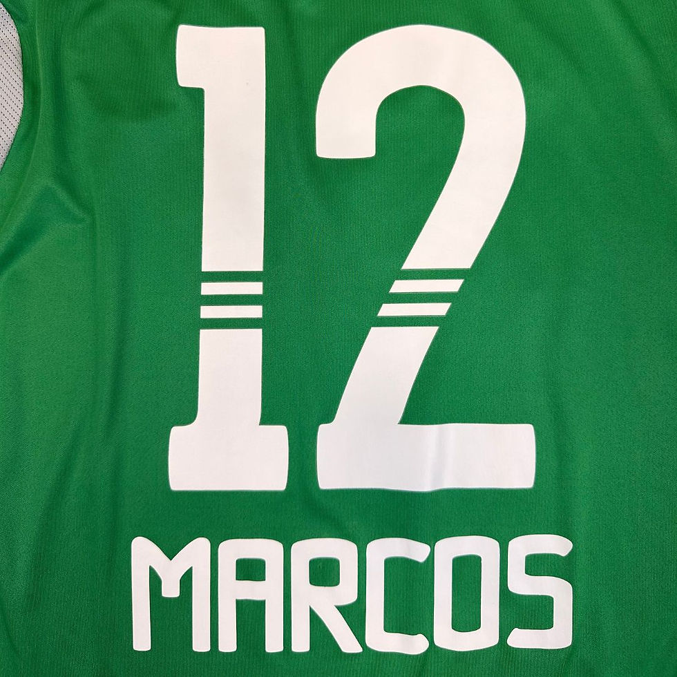 Miniatura: Palmeiras 2011 Goleiro #12 Marcos Tam: G (Nota: 9,5)