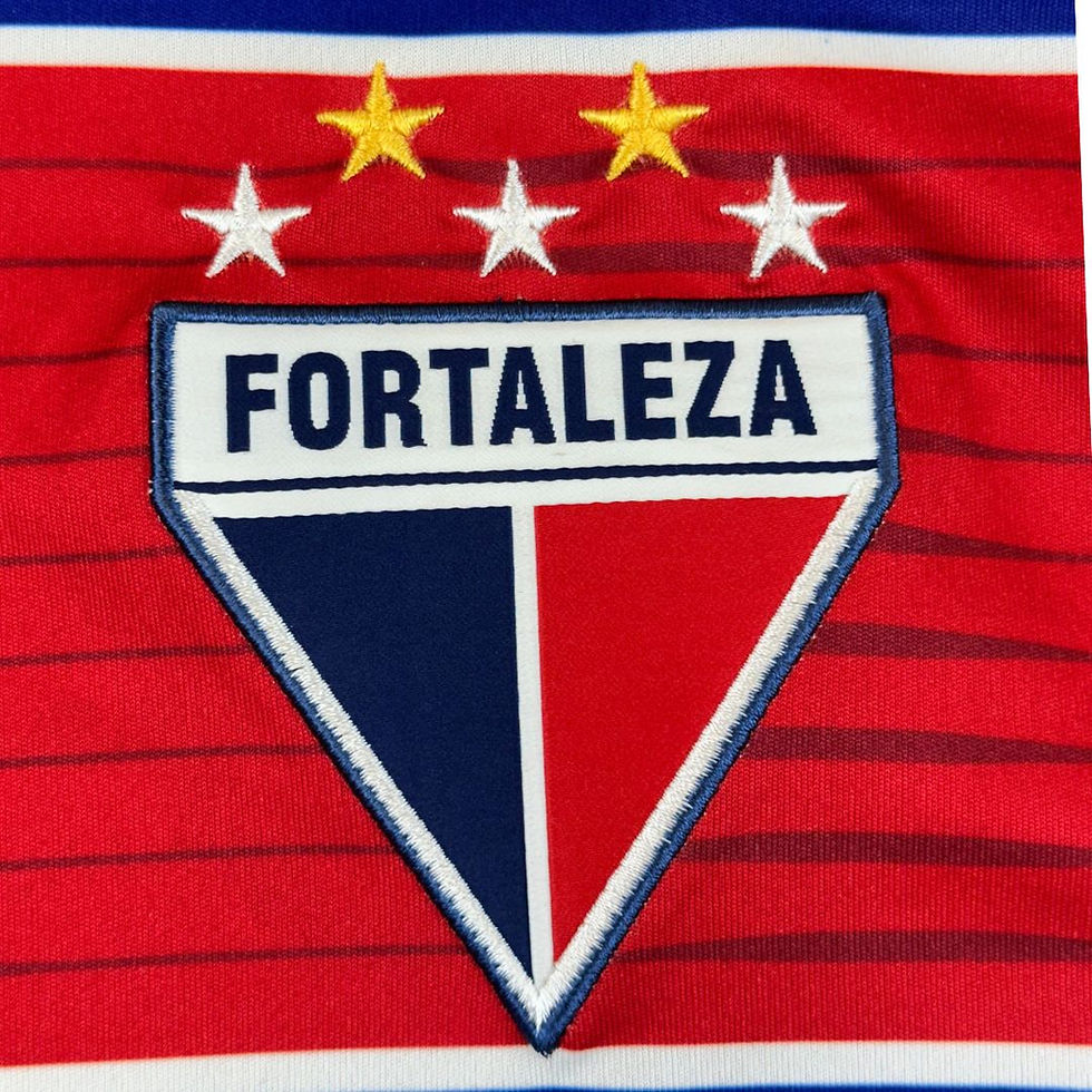 Miniatura: Fortaleza 2009 Home #10 Tam: M (Nota: 9,5)