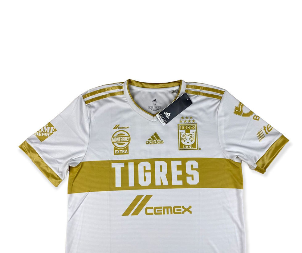 Miniatura: Tigres 2020 2021 Third  (Nova)