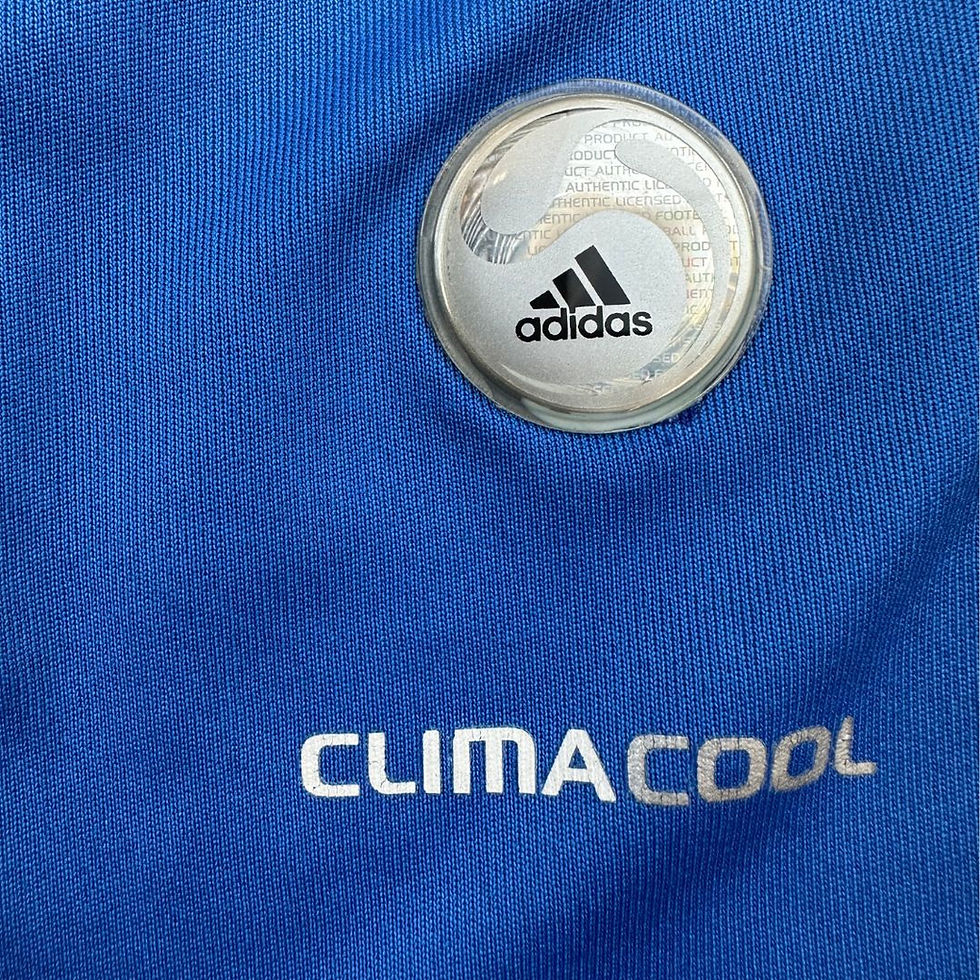 Miniatura: Palmeiras 2009 Third Tam: 12 Anos Infantil (Nota: 9,5)