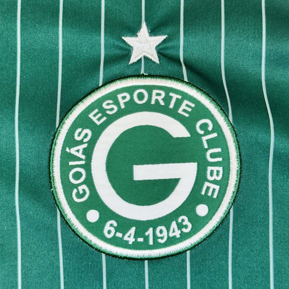Miniatura: Goiás 2010 2011 Home #15 De Jogo Tam: GG (Nota: 9)
