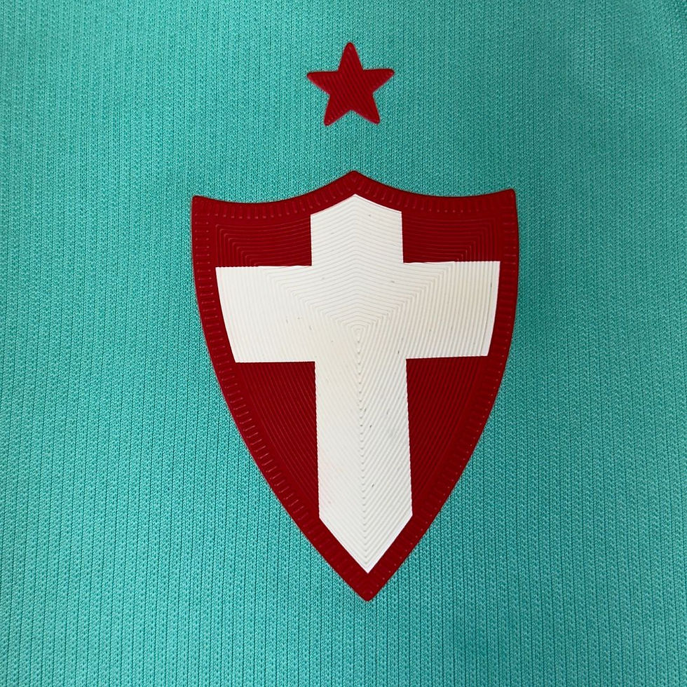 Miniatura: Palmeiras 2019 third Tam: GG (Nota: 8,5)