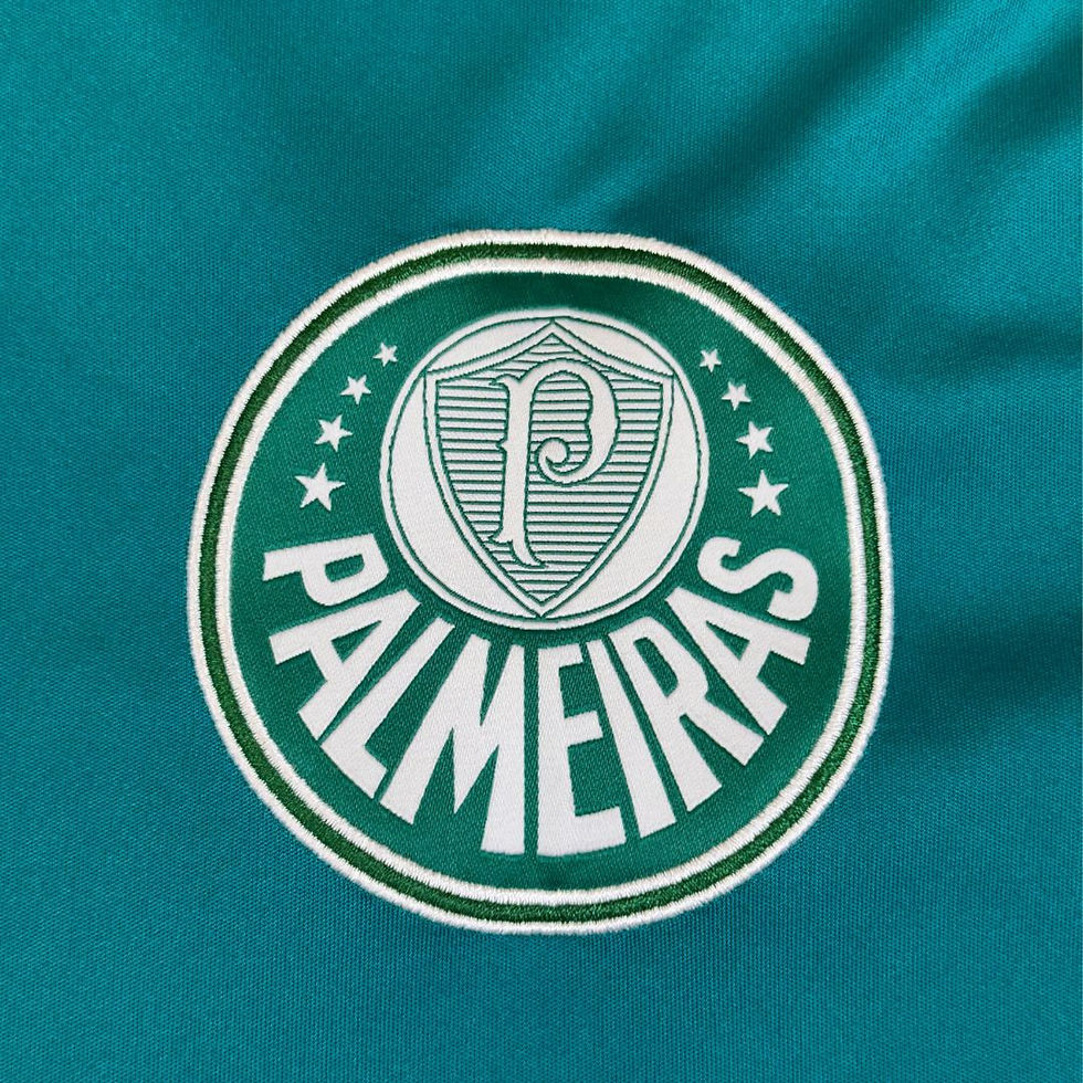 Miniatura: Palmeiras 2016 Goleiro Treino Tam: M (Nota: 9)