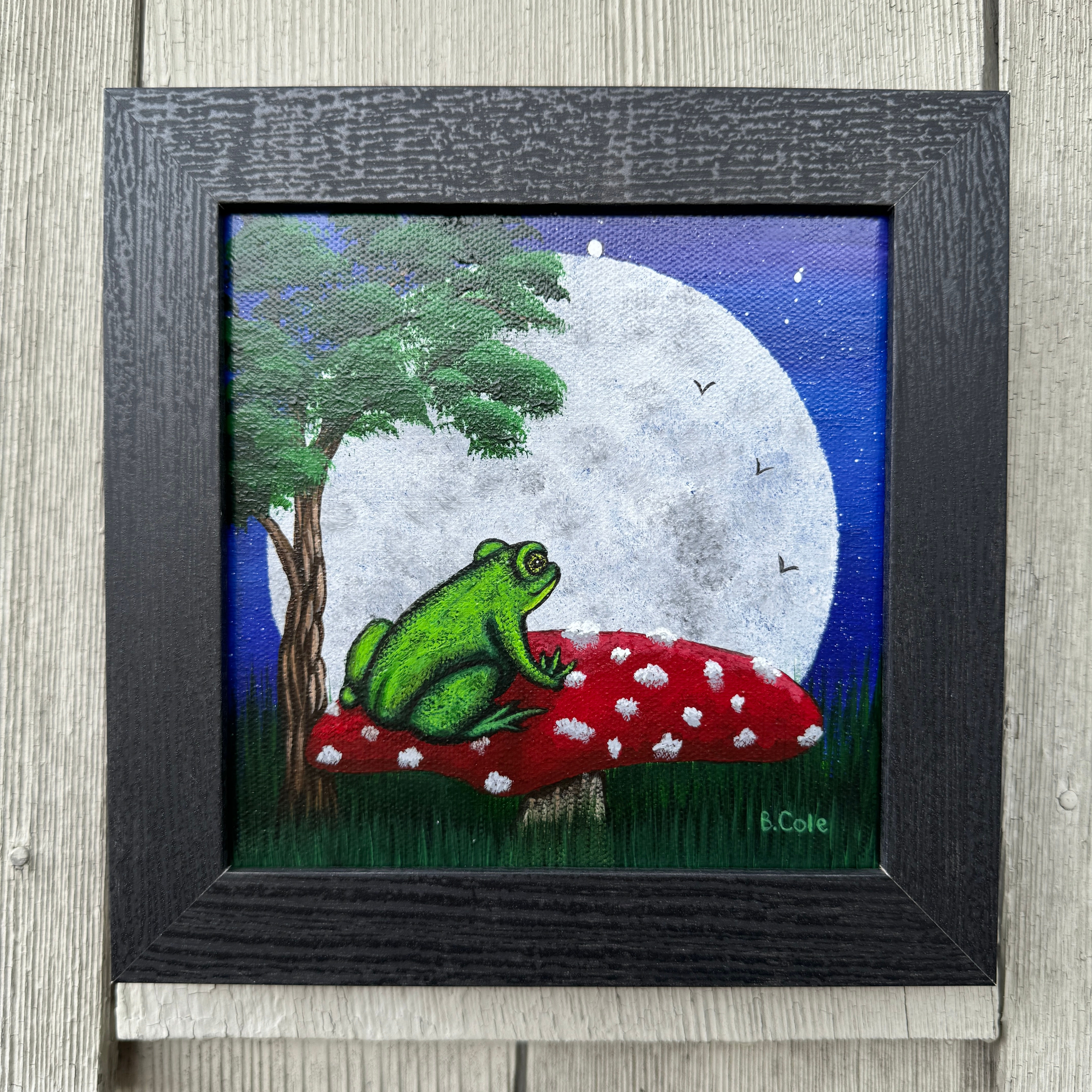 Frog in the Moonlight II