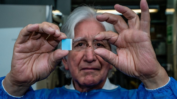 How bold science delivers life-changing cures.