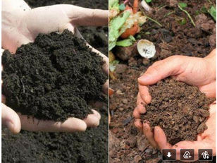 Compost and soil are not the same thing.
