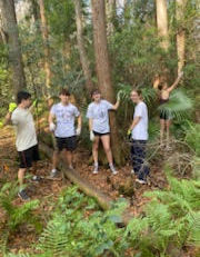 Woodland Gardens