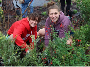 Meet February's native plant of the month!