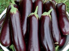 Diamond-Eggplant.jpg
