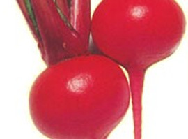 Red Round.jpg
