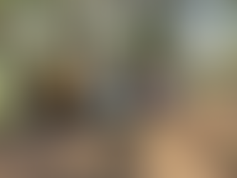 VISTA Woodland Update