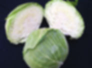 Image Early Flat Dutch cabbage (1).jpg